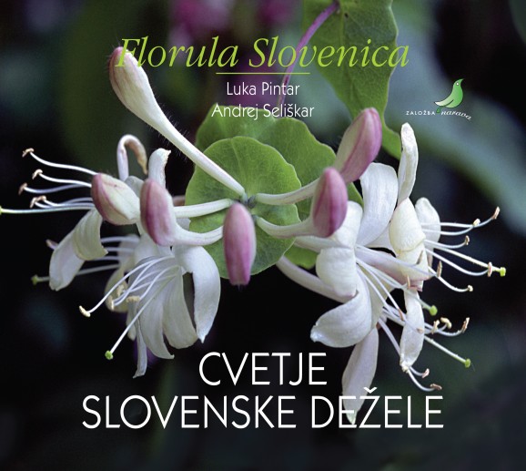 Cvetje slovenske dezele