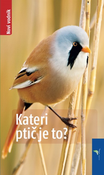 Kateri ptic je to-NV