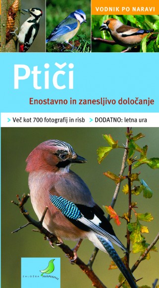 PTICI