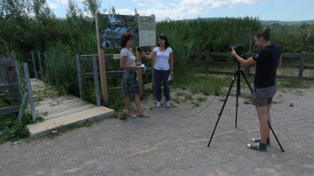 Video interviews, photo: Bojana Lipej 