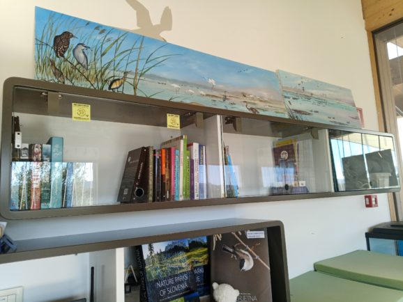 Bookcrossing kotiček v centru za obiskovalce NR Škocjanski zatok